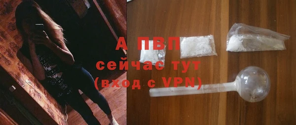 крисы Алексин