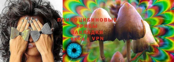 apvp Навашино