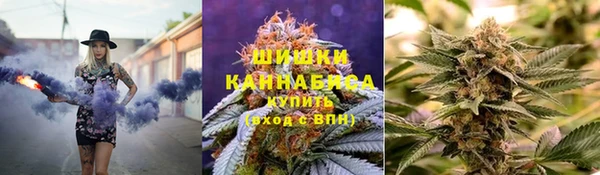 гашик Алзамай