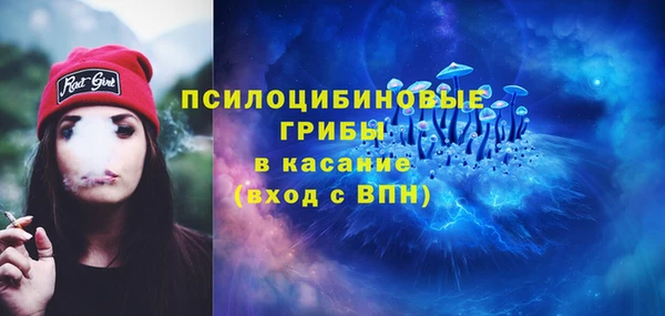 крисы Алексин