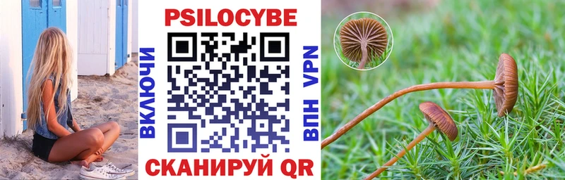 Галлюциногенные грибы Psilocybe даркнет сайт Азнакаево